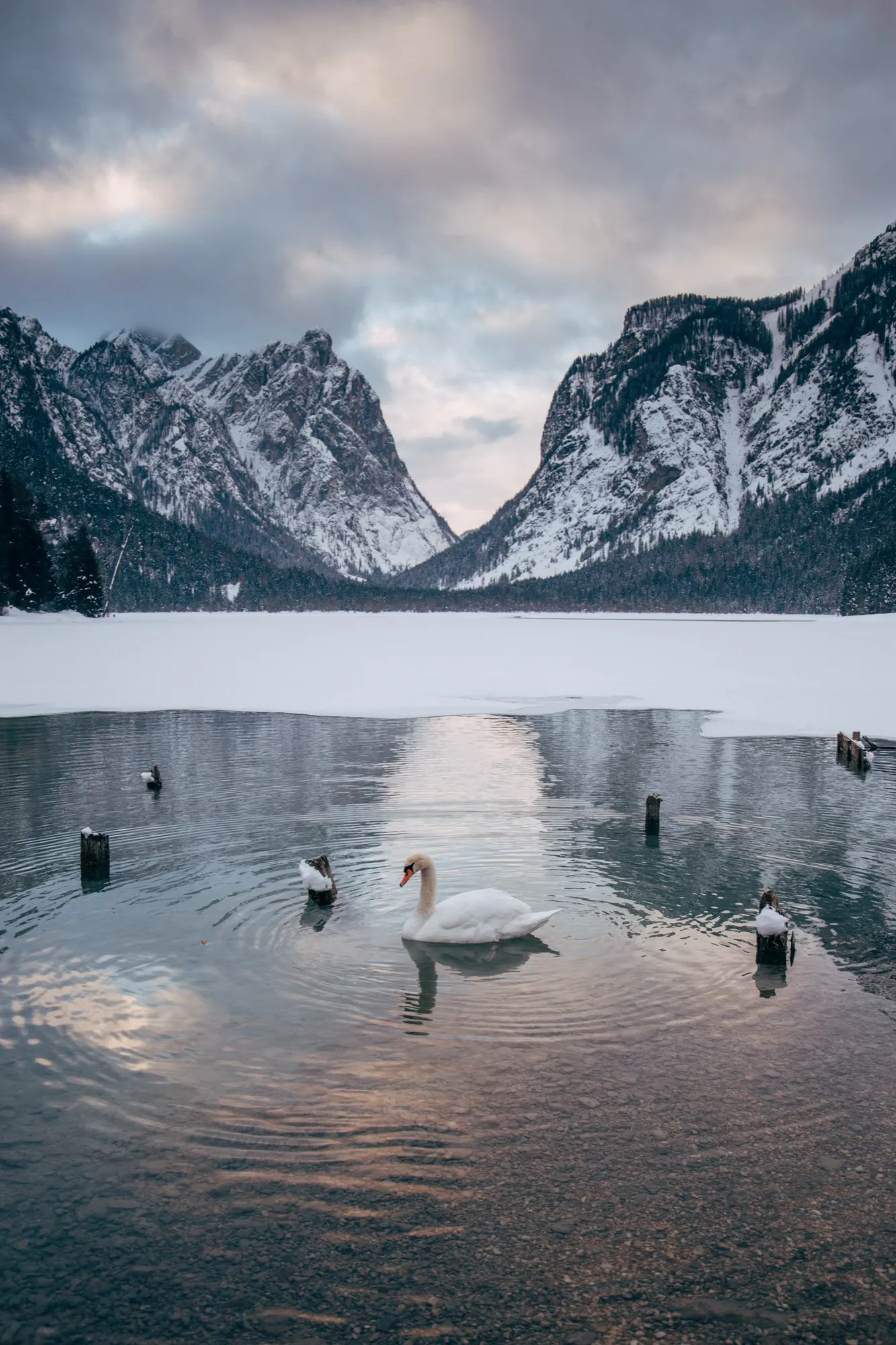 Horské jezero s kachnami, ponurá nálada